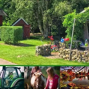 Vakantieboerderij Stutteri Skandihest, Billund